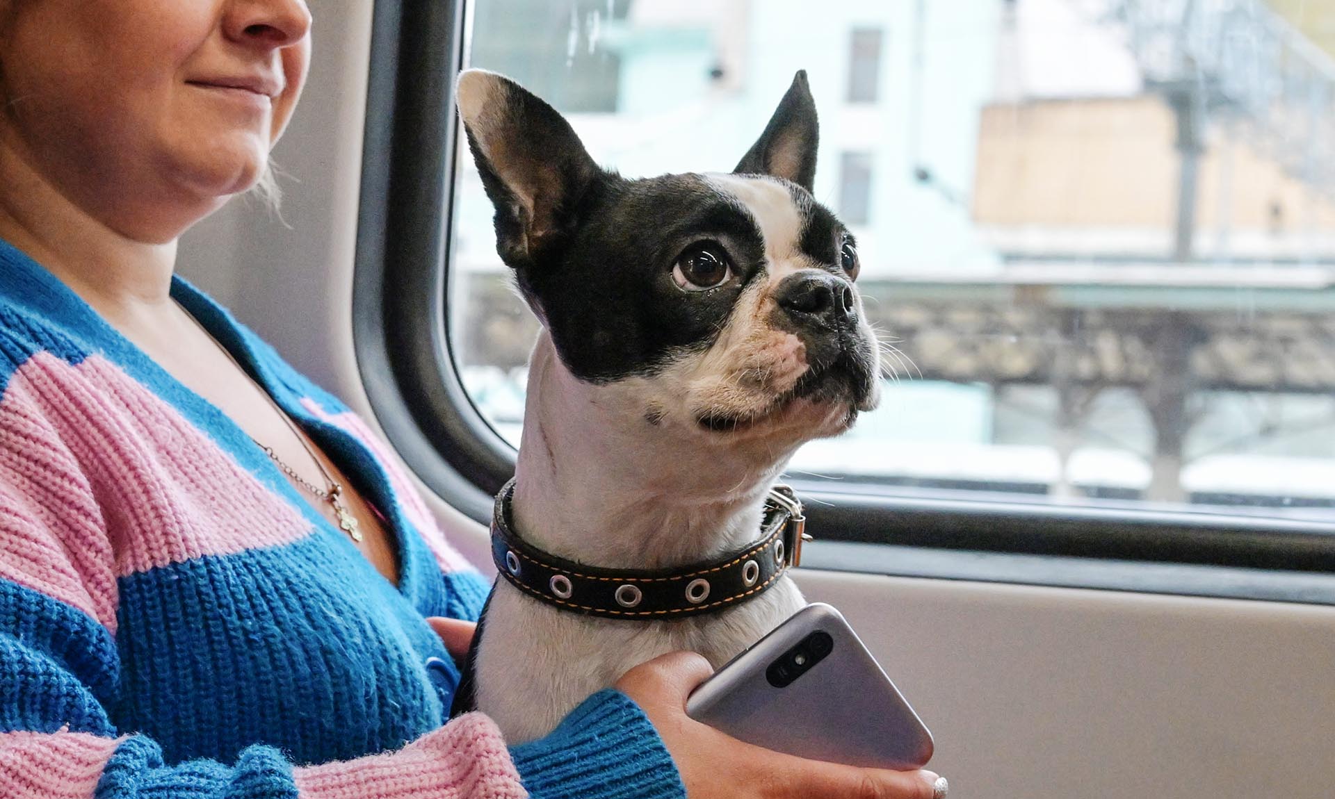 Собака на руках пассажирки в поезде,