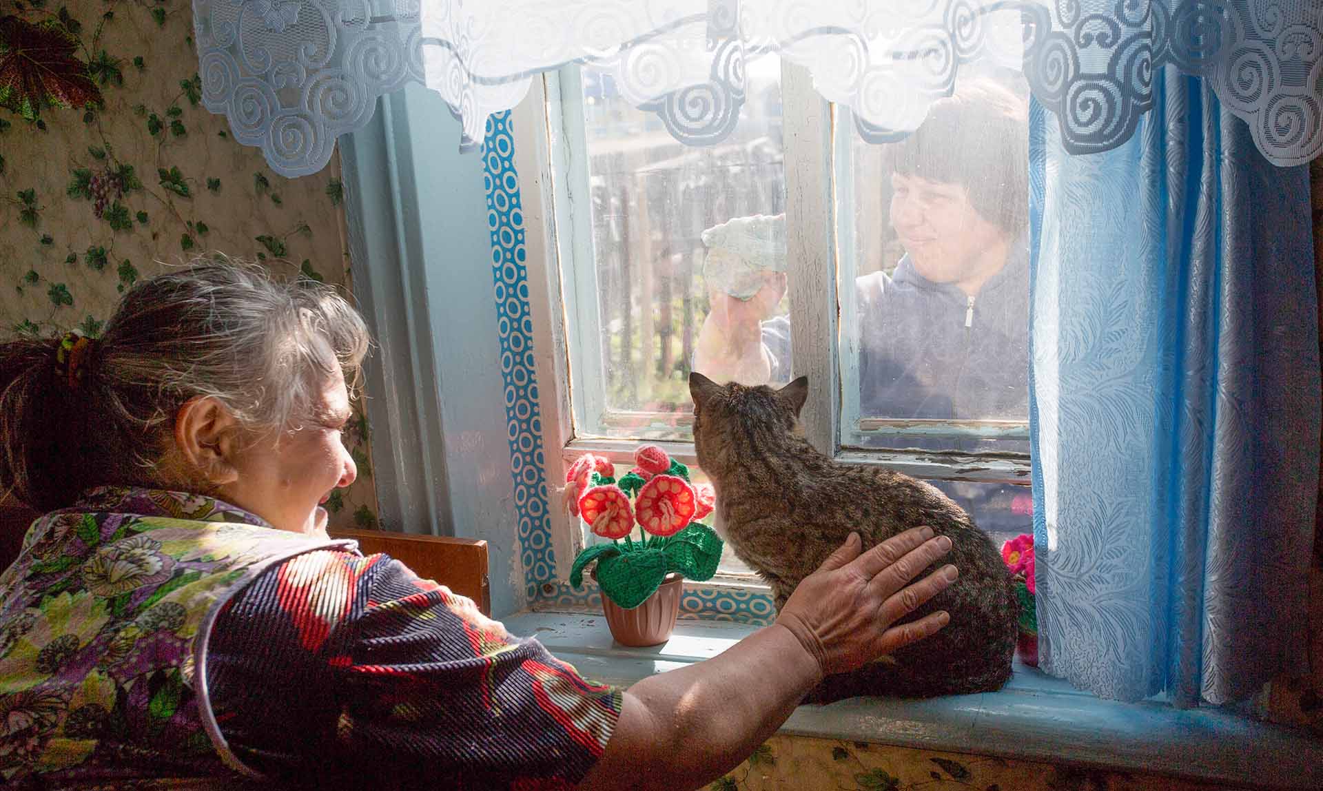 Пенсионерка с котом и сотрудник службы социальной поддержки
