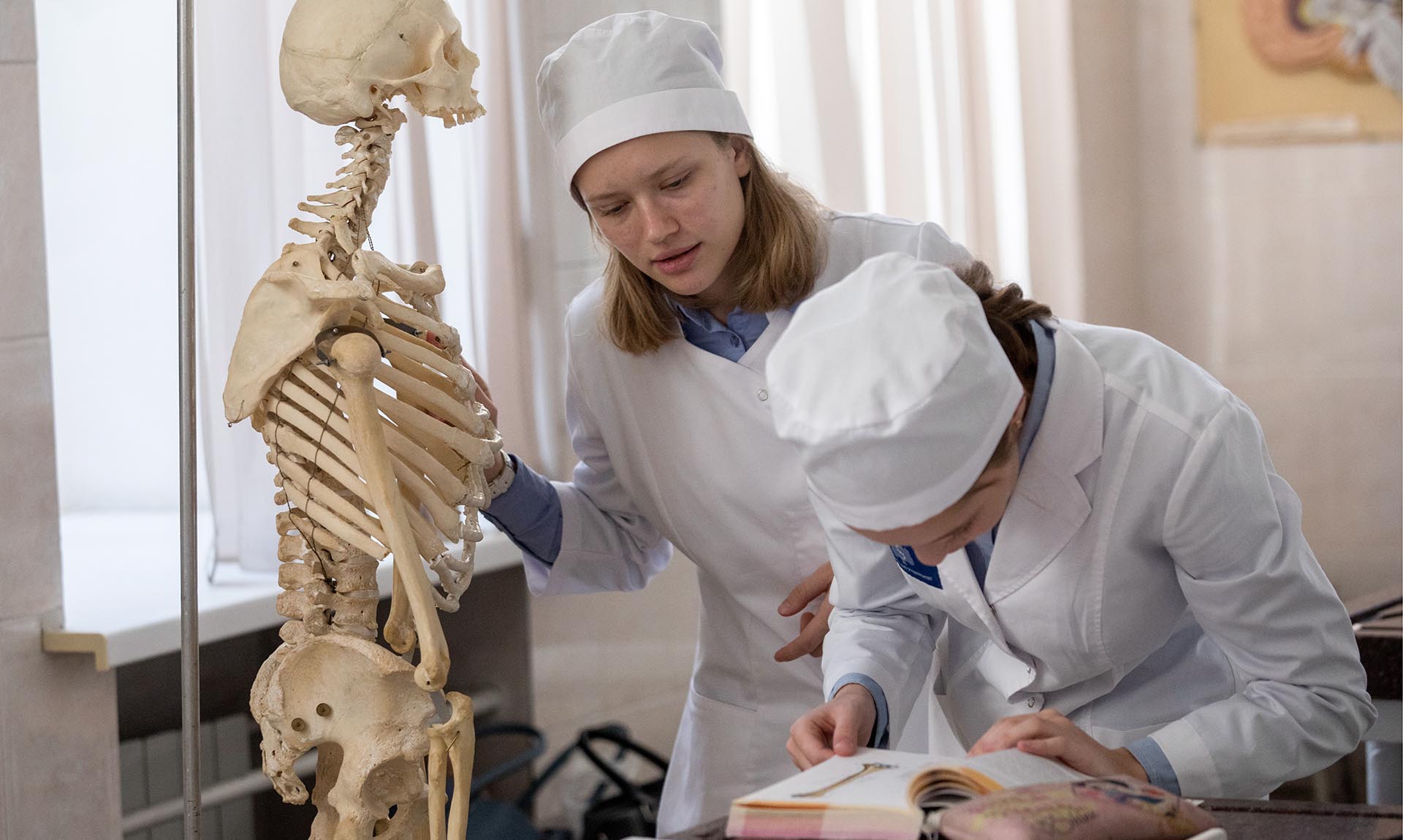 Студенты во время занятий по анатомии 