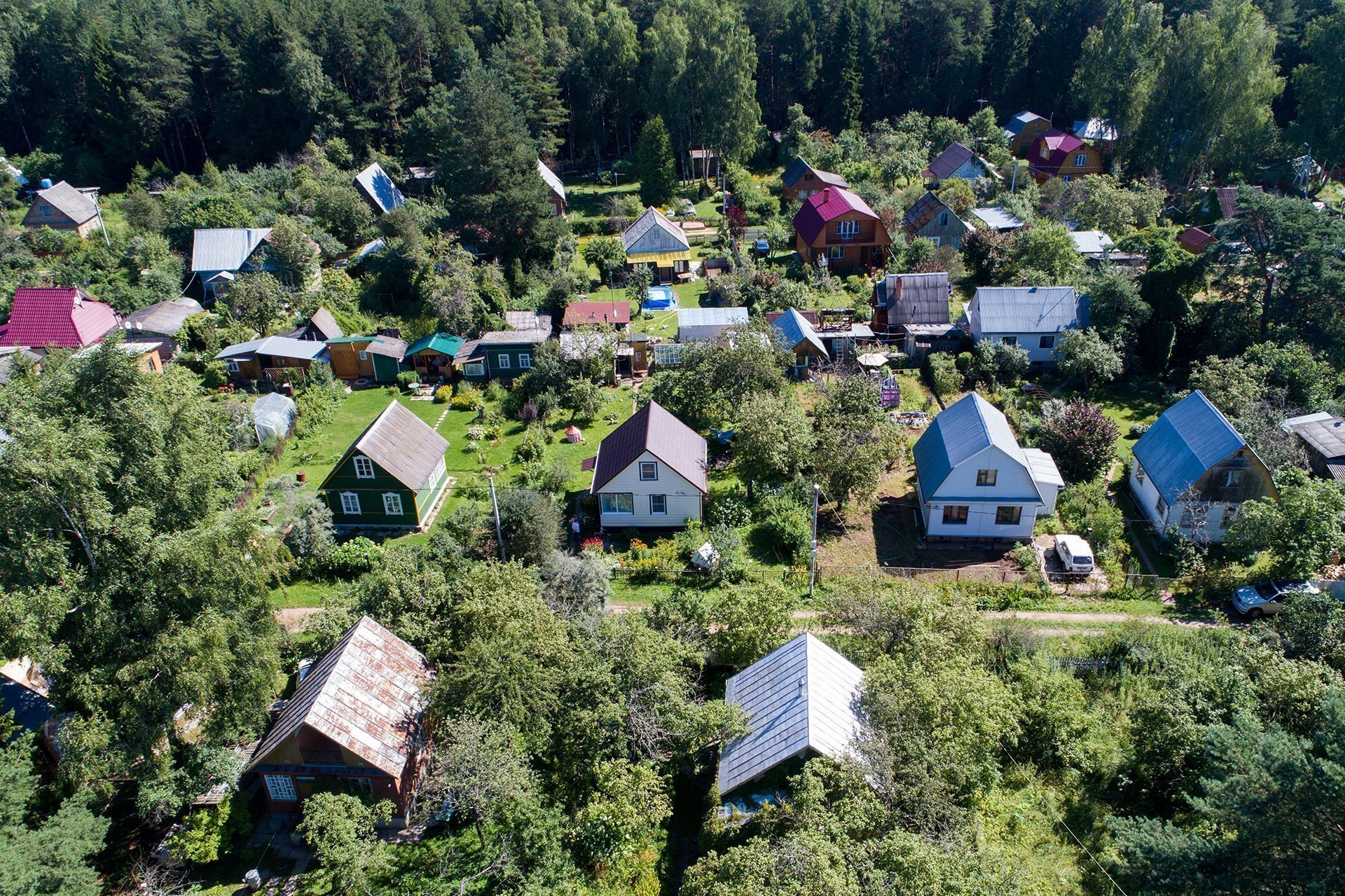 Получить данные о земельном участке теперь можно через «Госуслуги» –  Объясняем.рф