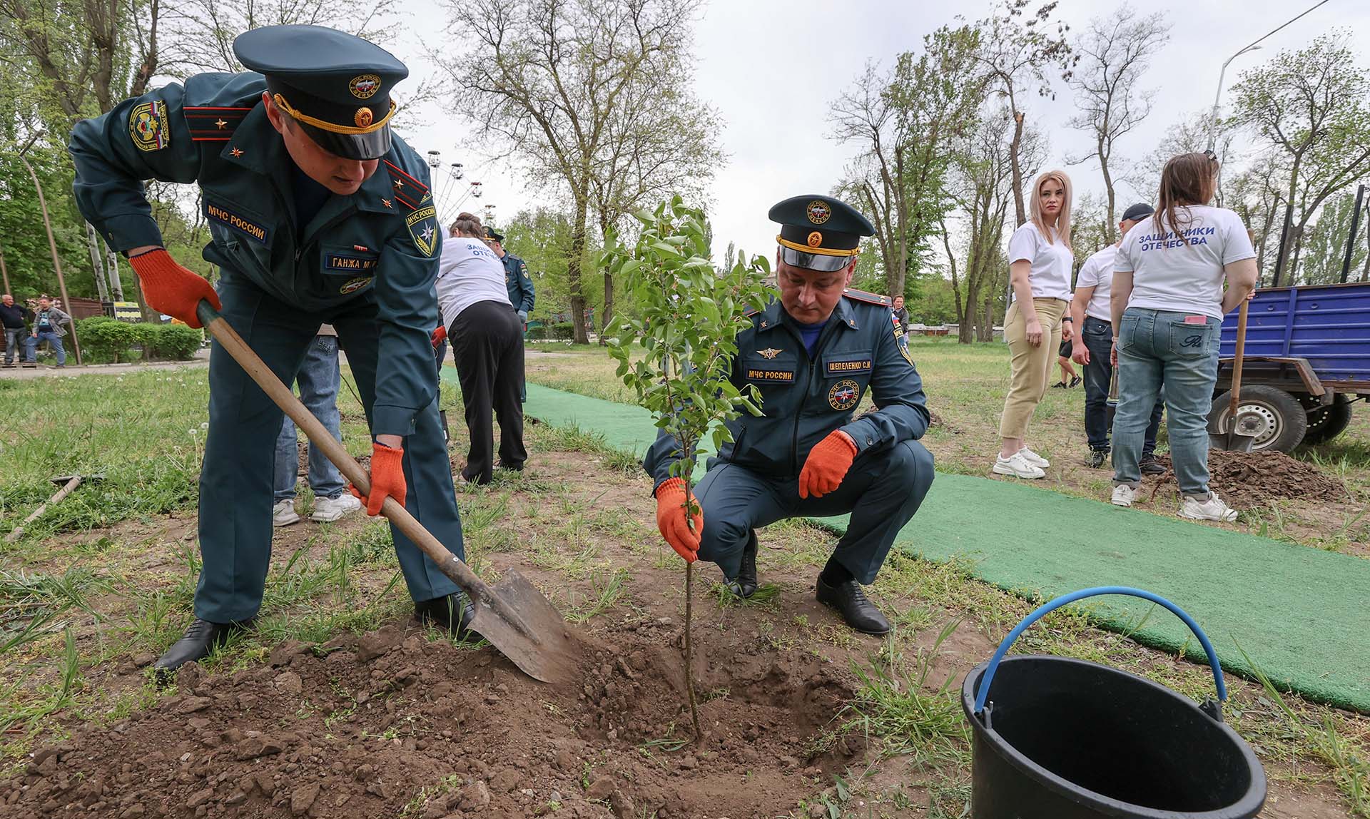 Сады памяти» из 130 млн деревьев заложены за пять лет в 78 странах мира –  Объясняем.рф