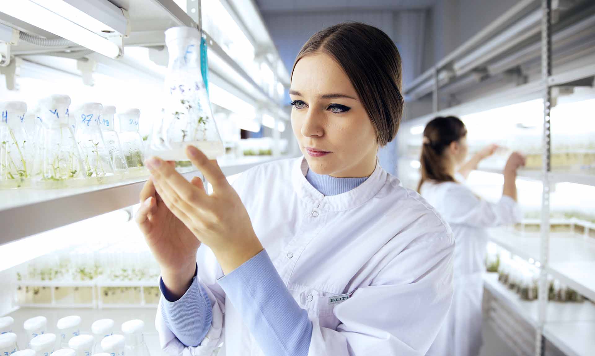 Студентки в лаборатории клонального микроразмножения растений