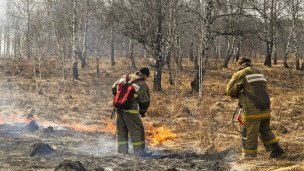 Сотрудники МЧС во время тушения горящей травы.